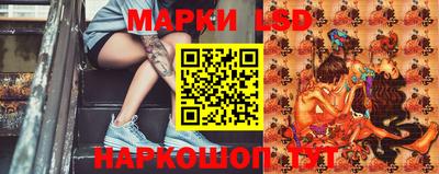 молекула духа Донецк