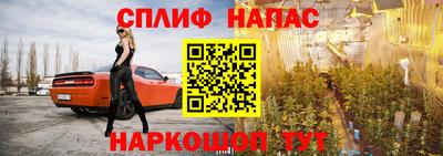 молекула духа Донецк