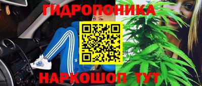 молекула духа Донецк