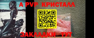 молекула духа Донецк